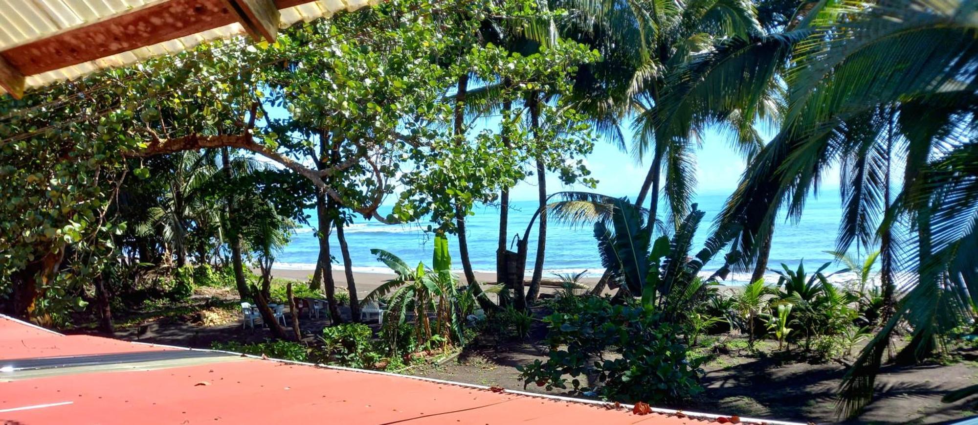 Tortuguero Adventures Beach House Экстерьер фото