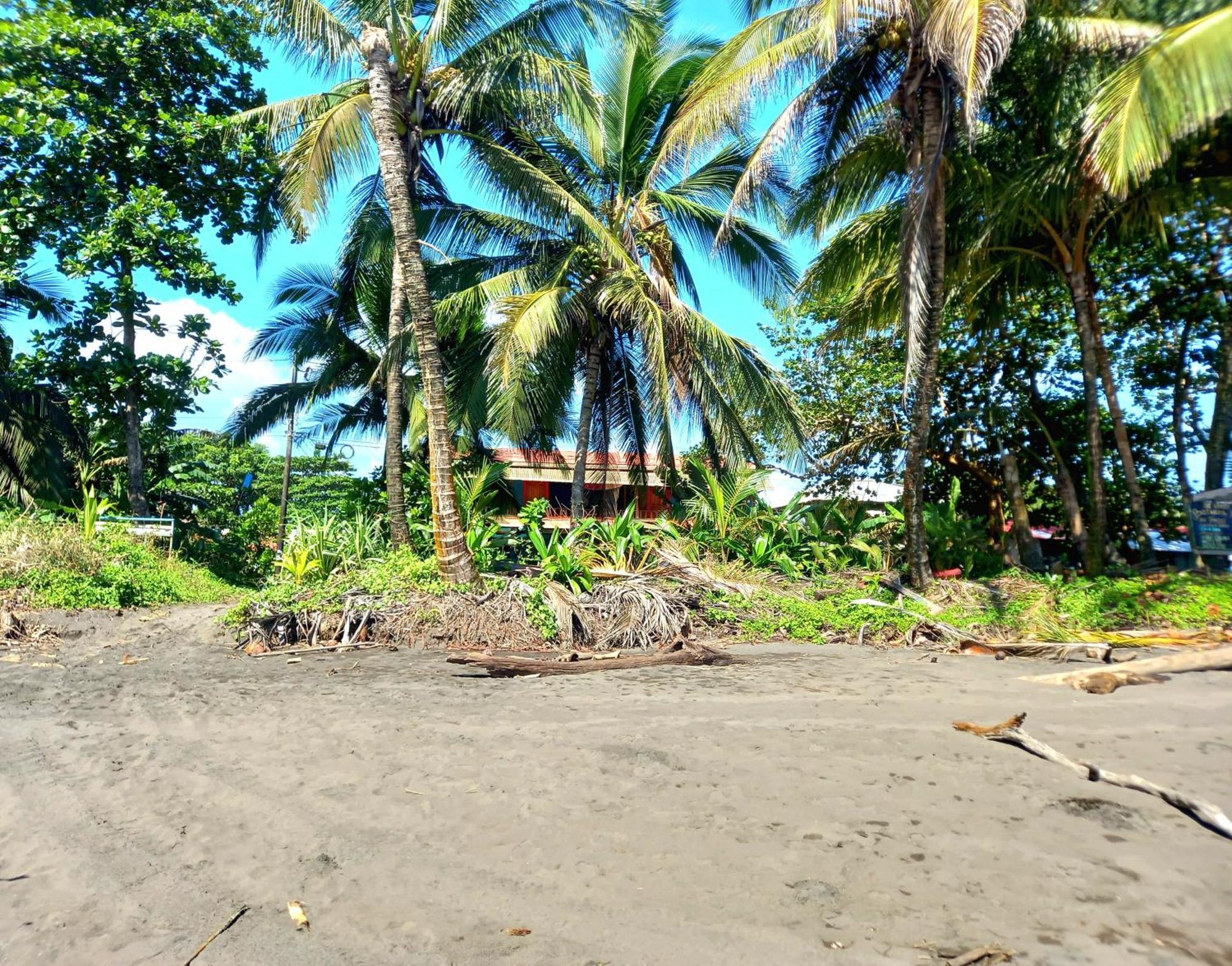 Tortuguero Adventures Beach House Экстерьер фото