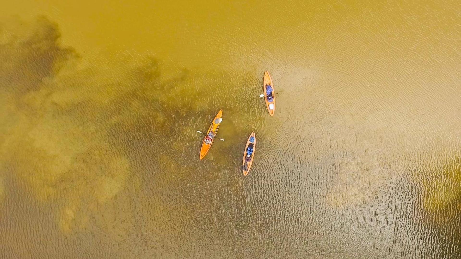 Tortuguero Adventures Beach House Экстерьер фото