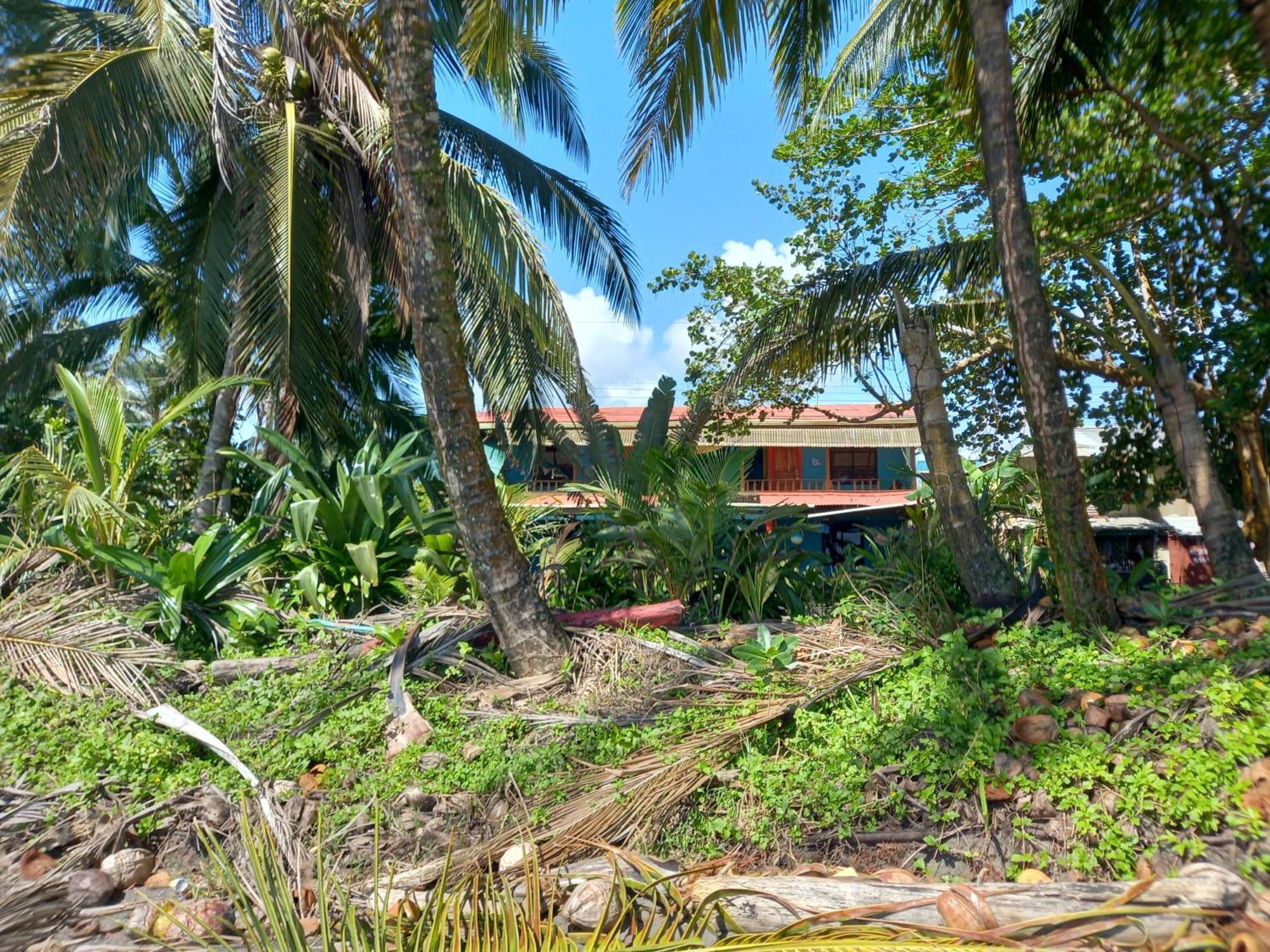 Tortuguero Adventures Beach House Экстерьер фото