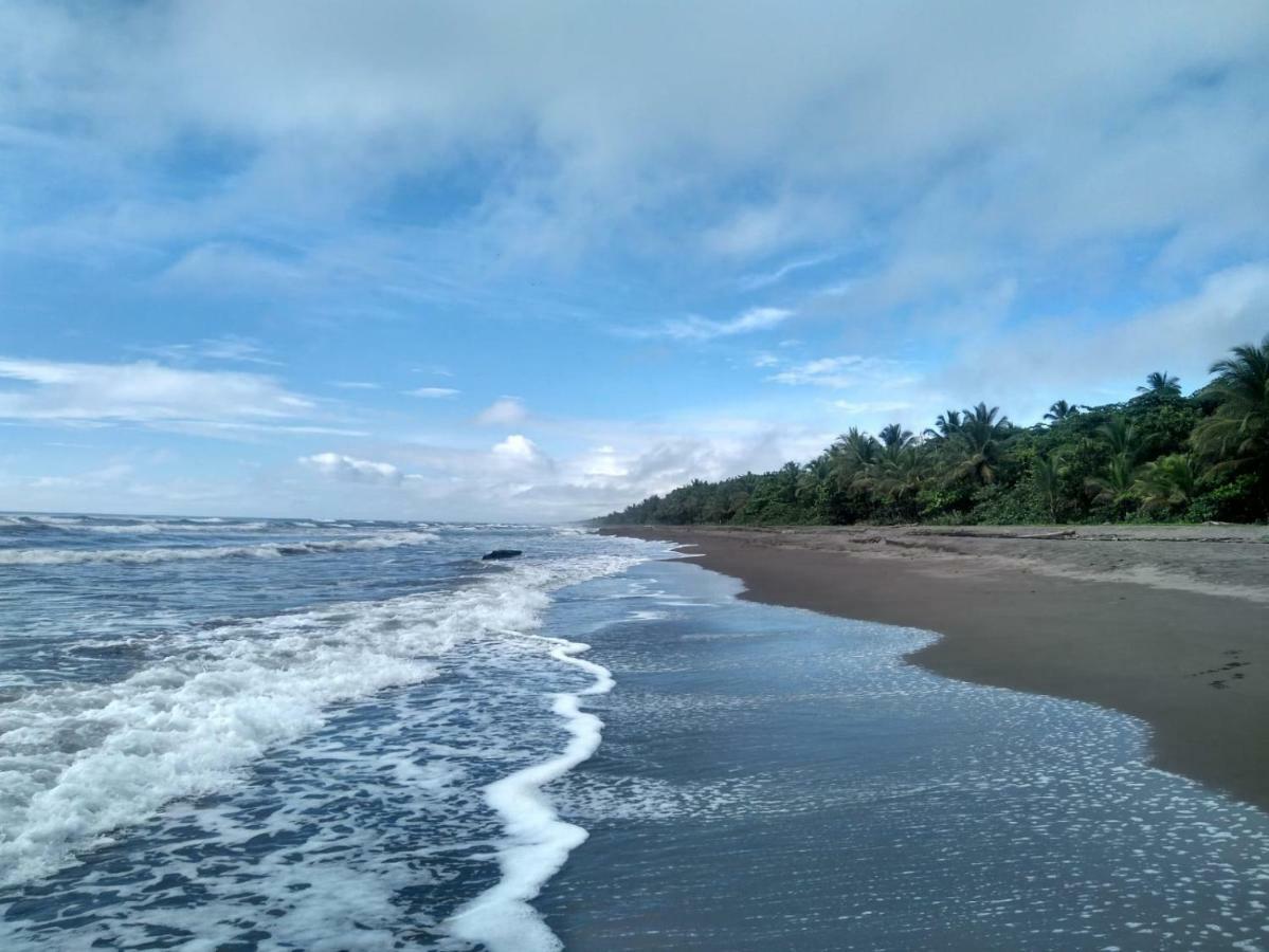 Tortuguero Adventures Beach House Экстерьер фото